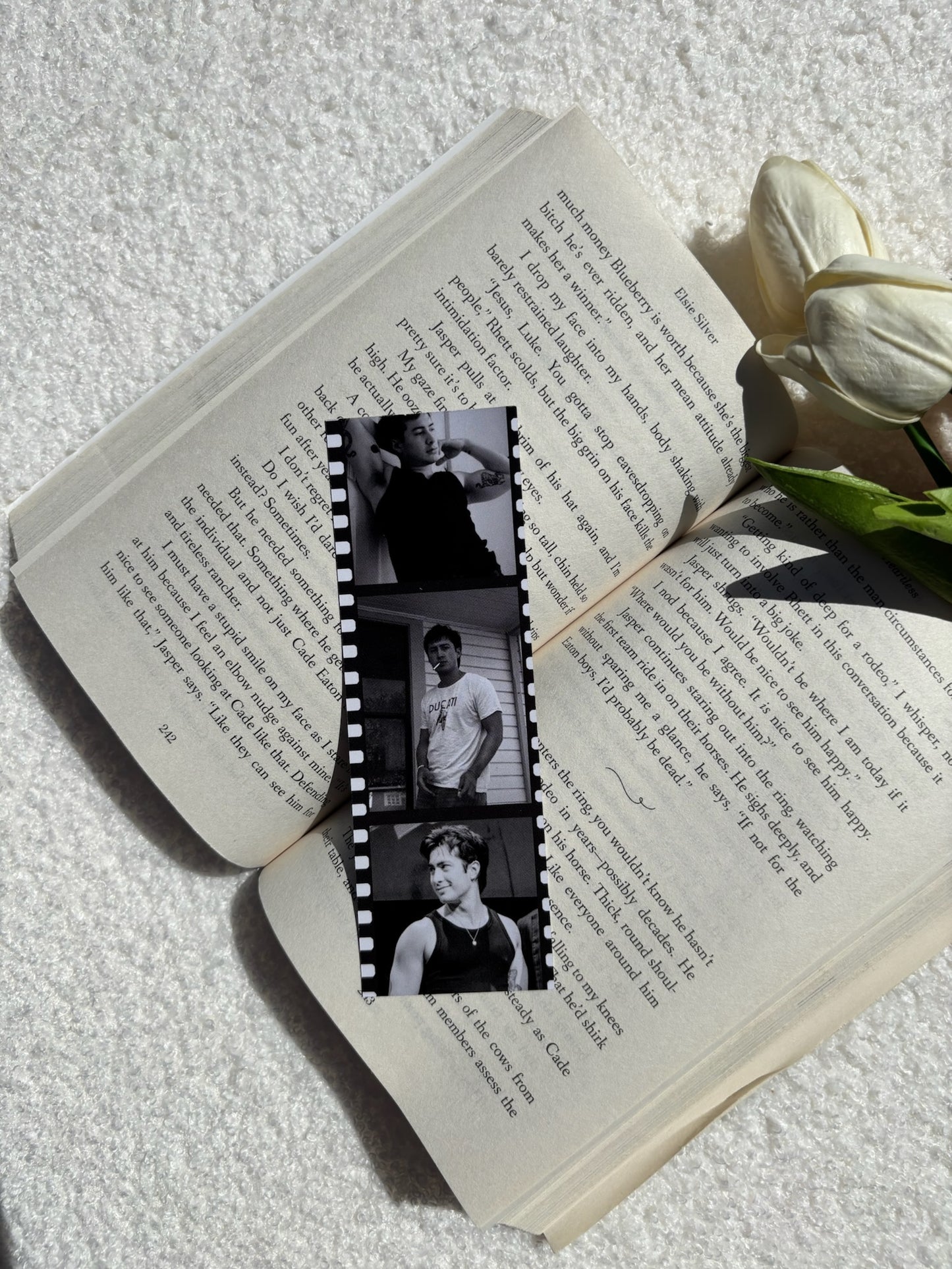Hollander Bookmark Set & Individuals